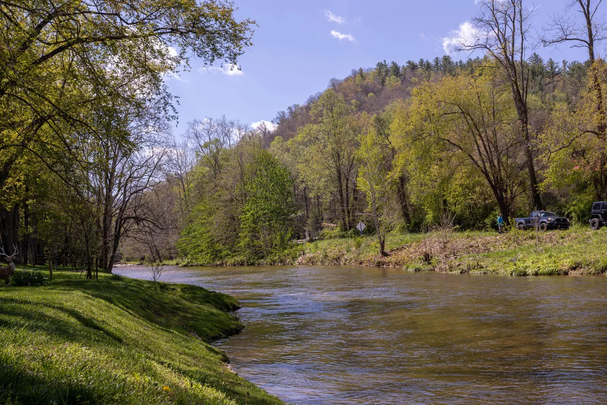 A sweeping view of the river with a tree-lined bank and distant mountains. The setting is peaceful, with opportunities for fishing, picnicking, and nature observation along the water.
